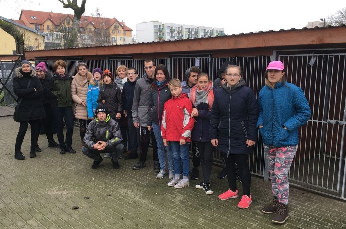 Przynieśli karmę do gryfińskiego Kojca