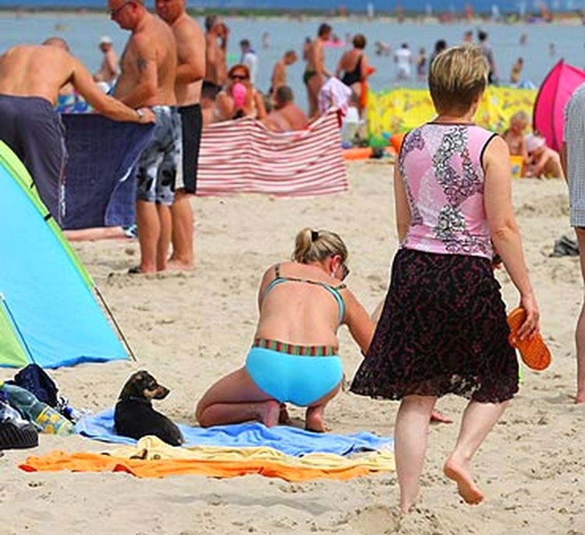 Psy na plaży. Jak to jest z przestrzeganiem zakazu? [list czytelnika]