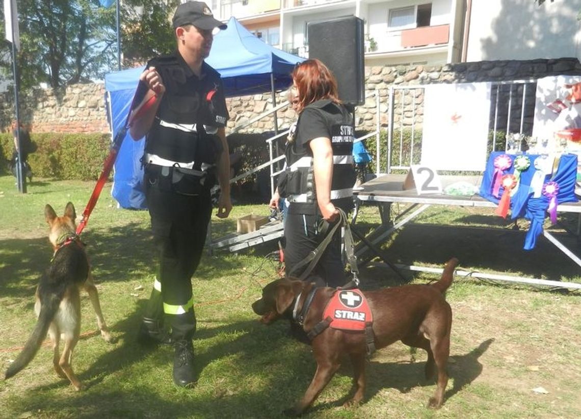 Psy szczekają, a Witowska idzie dalej Psy szczekają, a Witowska idzie dalej