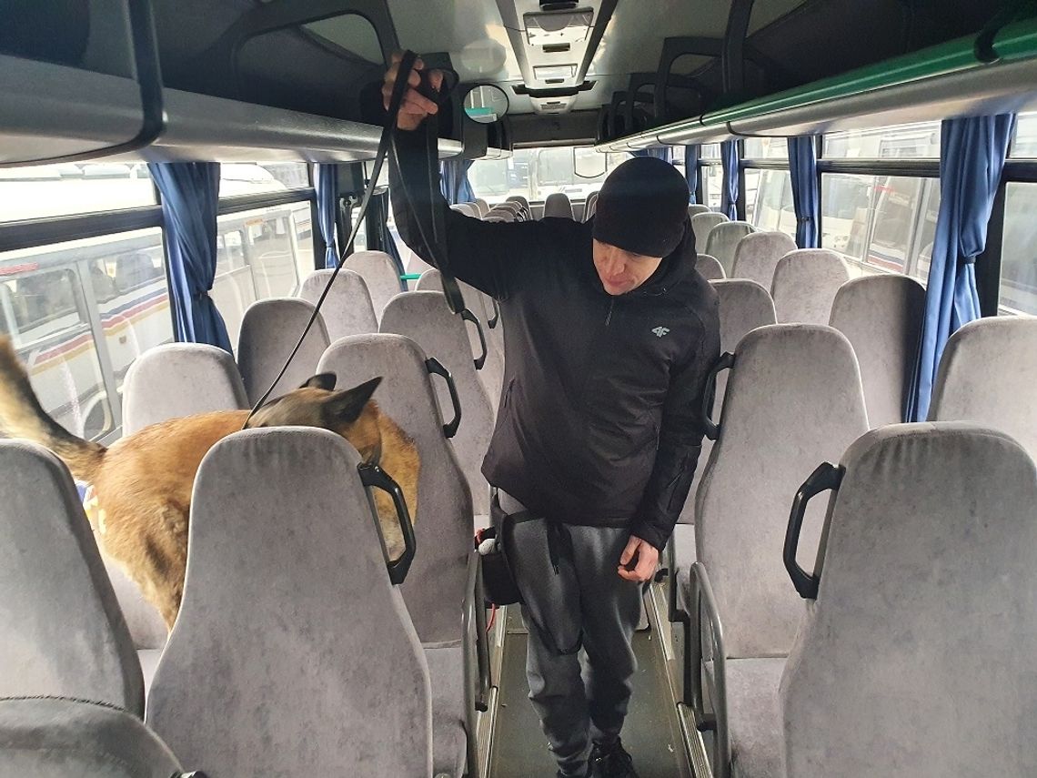 Psy wytropiły narkotyki Psy wytropiły narkotyki