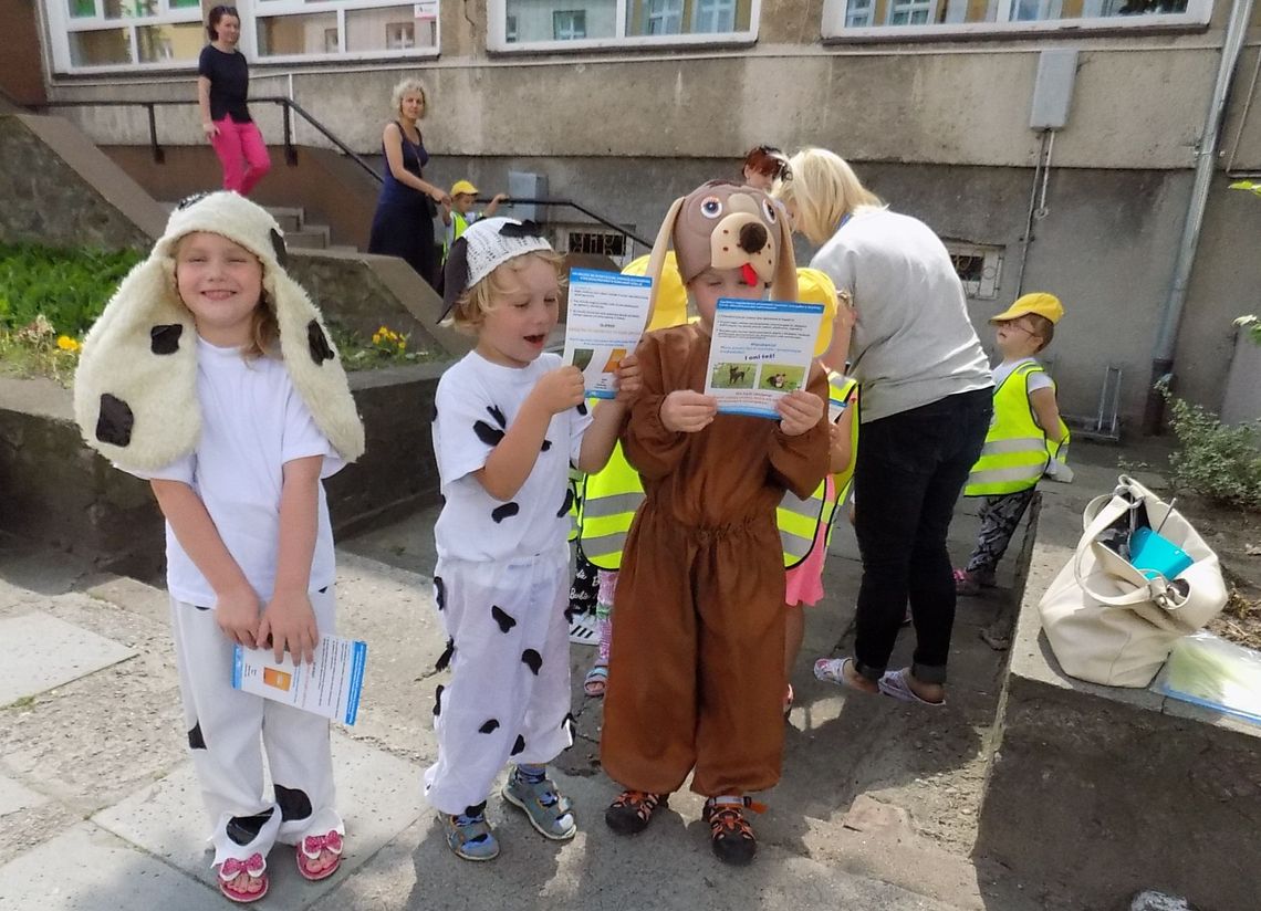 Pszczółkowi propagatorzy czystości Pszczółkowi propagatorzy czystości