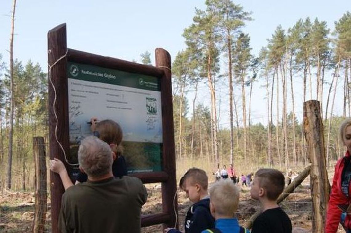 Puszcza Bukowa – między kulturą, a naturą Puszcza Bukowa – między kulturą, a naturą