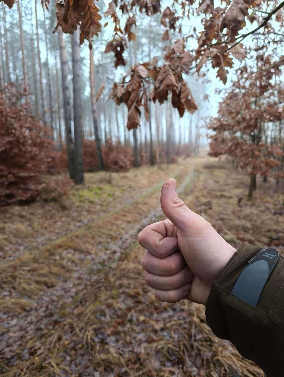 Rada Rodziców dziękuje Kołu Łowieckiemu „Hubertus” za wsparcie finansowe