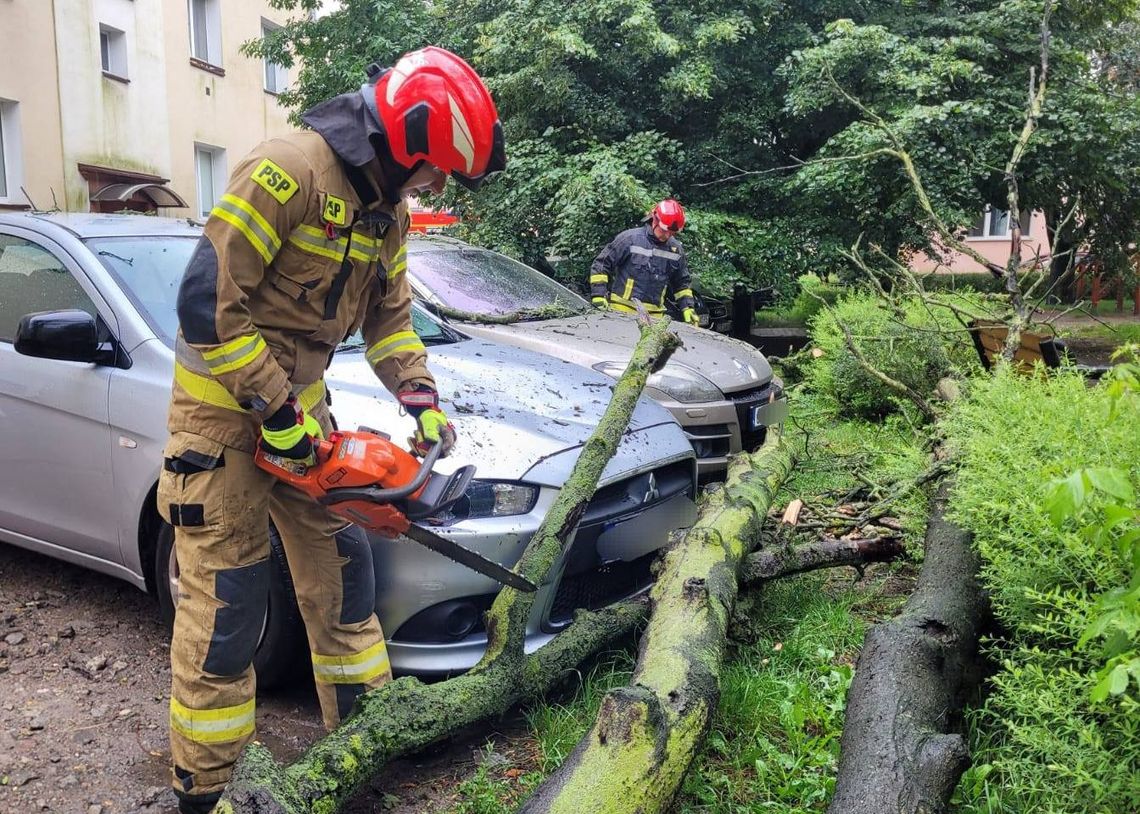 Raport strażaków za początek września 2025 r. Wspólnie z policją...