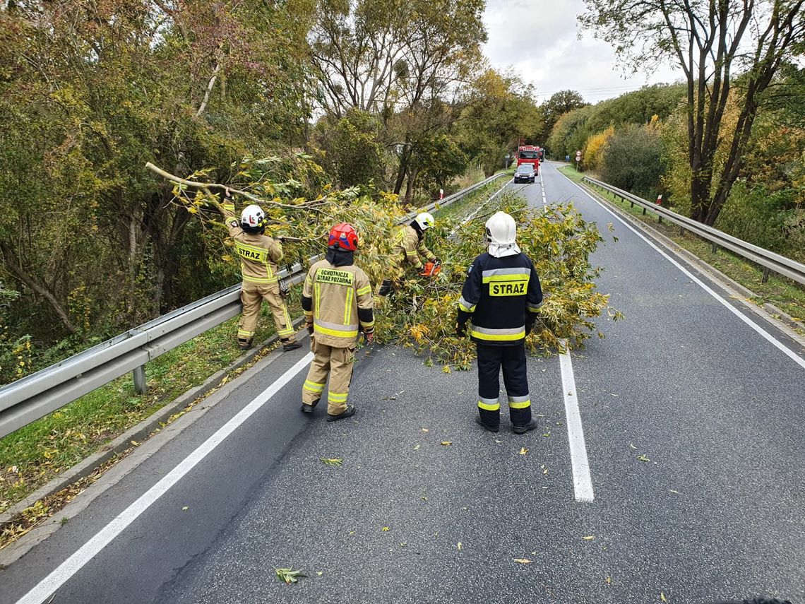 Raport straży wyjątkowo za ostatnie 8 dni