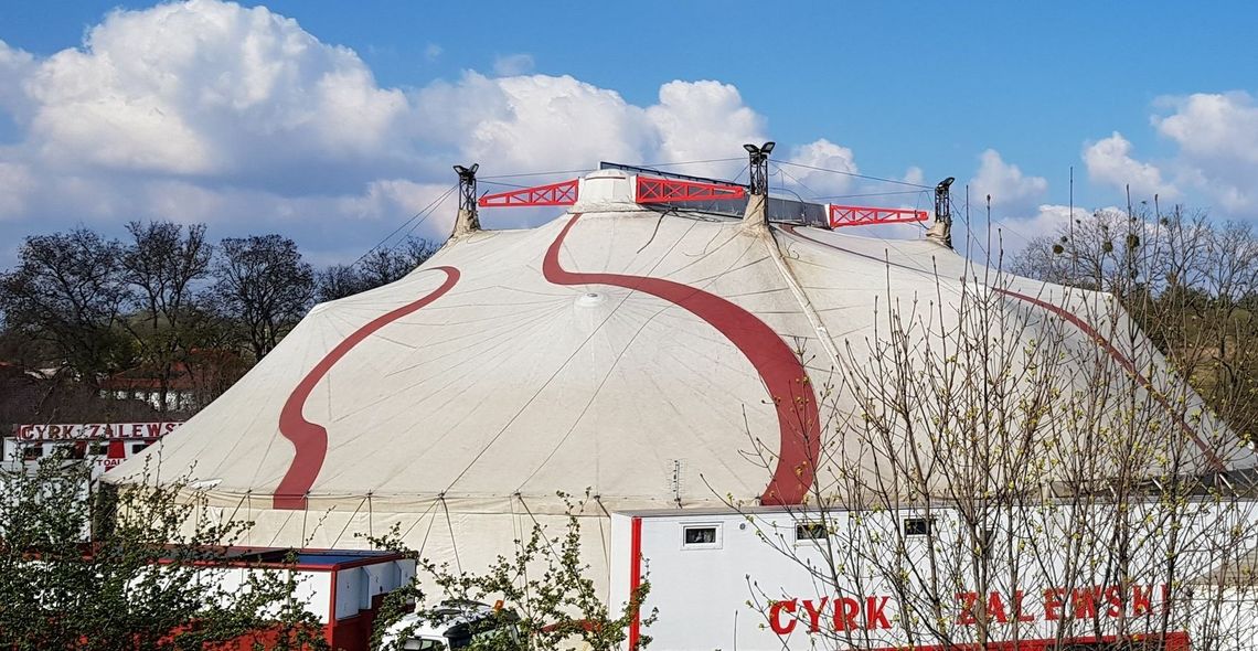 Reklamują cyrk w gminnej placówce. Co ze zwierzętami na scenie w Gryfinie? Reklamują cyrk w gminnej placówce. Co ze zwierzętami na scenie w Gryfinie?