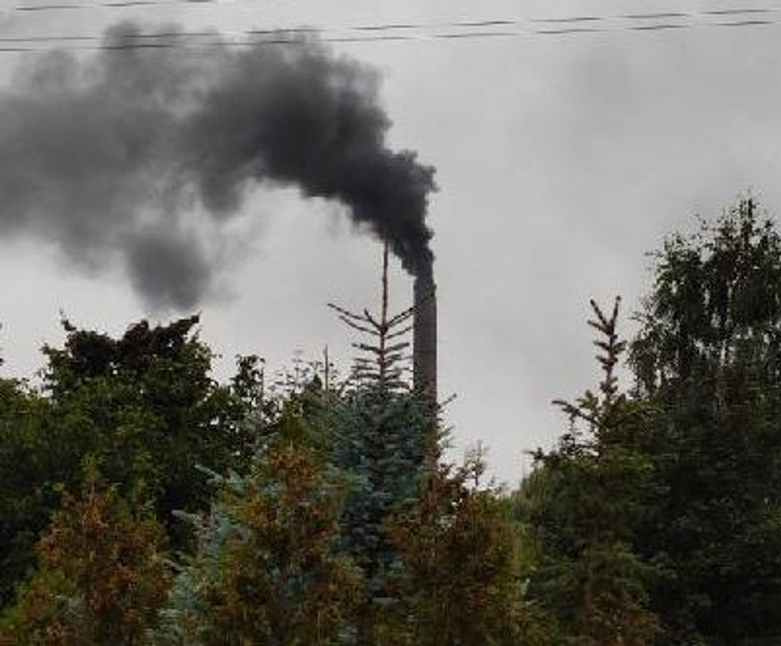 Dlaczego Gryfskand dymi ze starej retorty? Dlaczego Gryfskand dymi ze starej retorty?