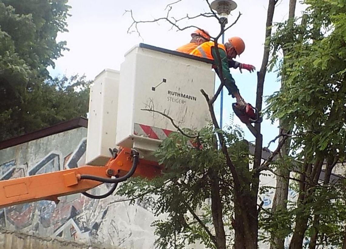 Robili porządki na Dworcowej