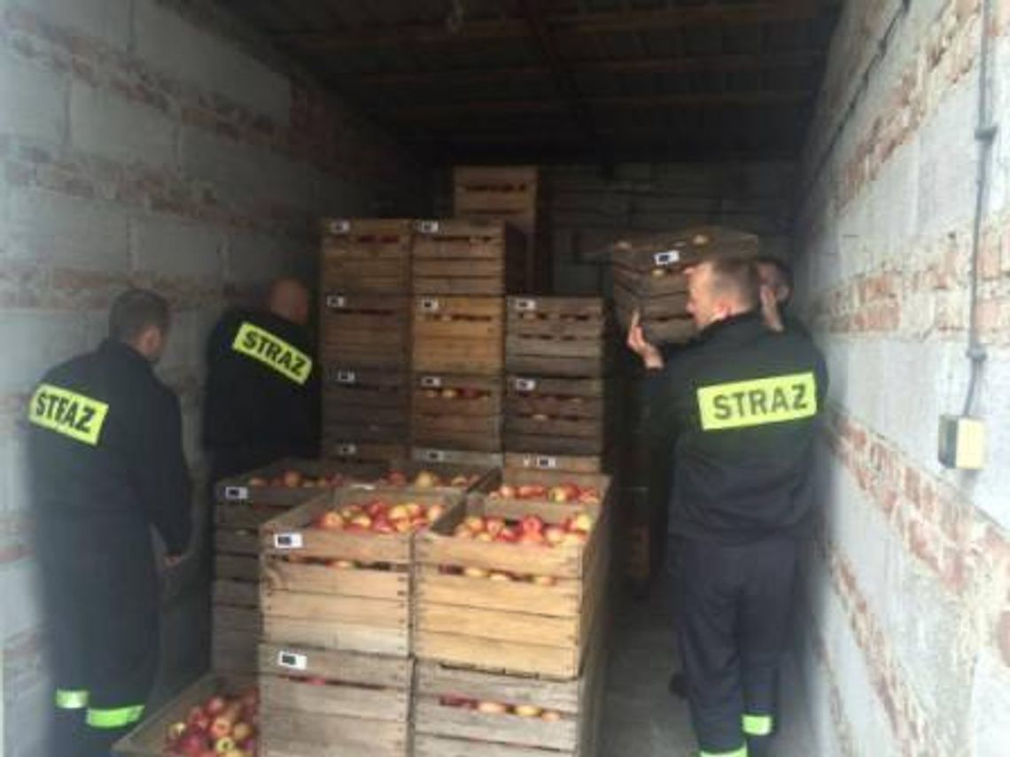 Rozdali prawie 10 ton jabłek Rozdali prawie 10 ton jabłek