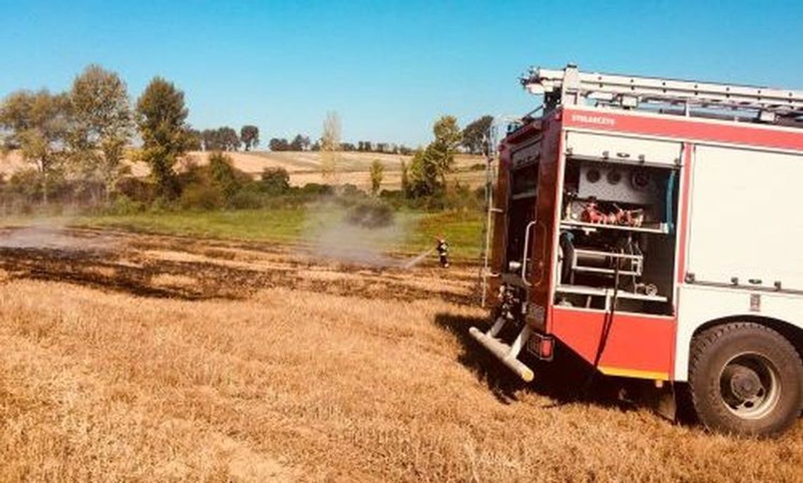 Rozległy pożar ścierniska