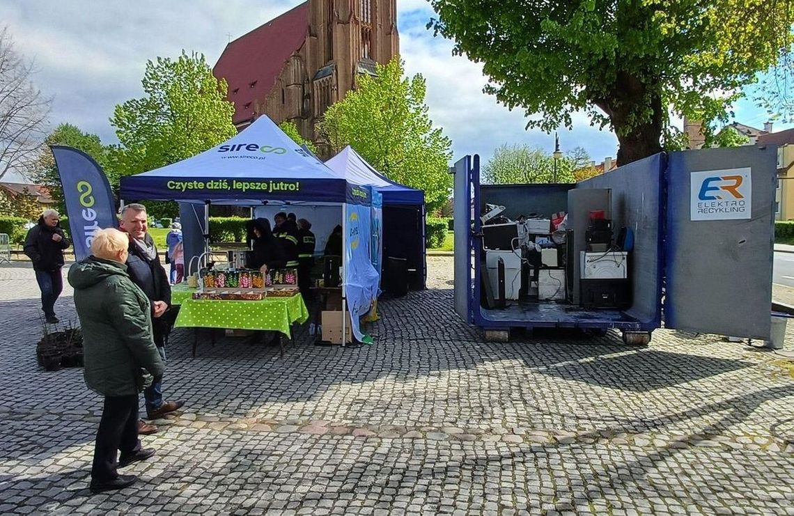 Rozsady za elektroodpady w Chojnie i Trzcińsku-Zdroju. Odbierz sadzonki za stary sprzęt dzisiaj