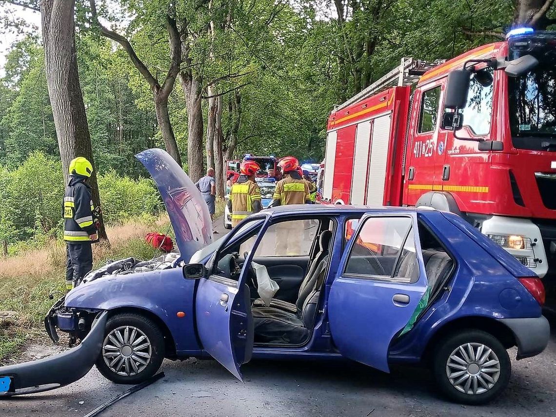 Rzucił się na niego kot. A kierowca uderzył w drzewo