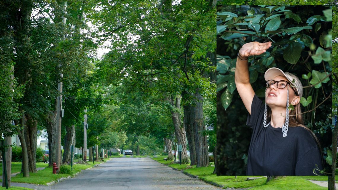 Łatwa kasa do pozyskania. Wystarczy się pochylić