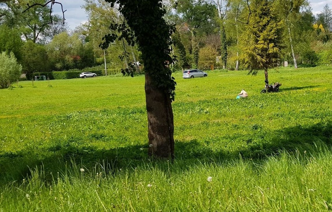 Samobójstwo w parku?