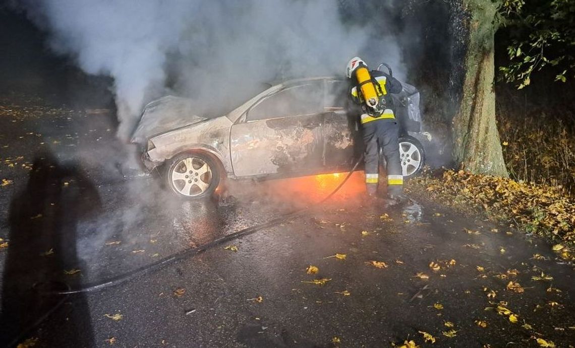 Samochodem uderzył w drzewo. Auto spłonęło Samochodem uderzył w drzewo. Auto spłonęło