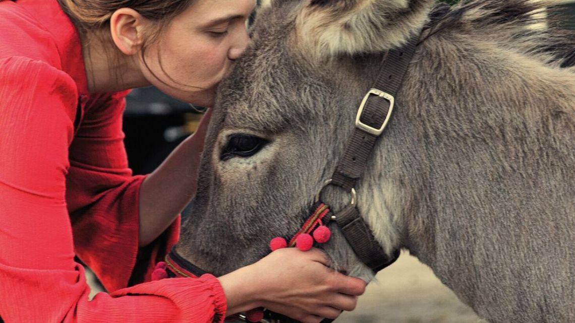 Gra z osiołkiem to była jedna wielka improwizacja