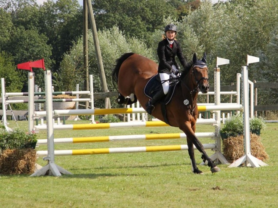 Sedina Horse Show – piękne konie i widowiskowe skoki