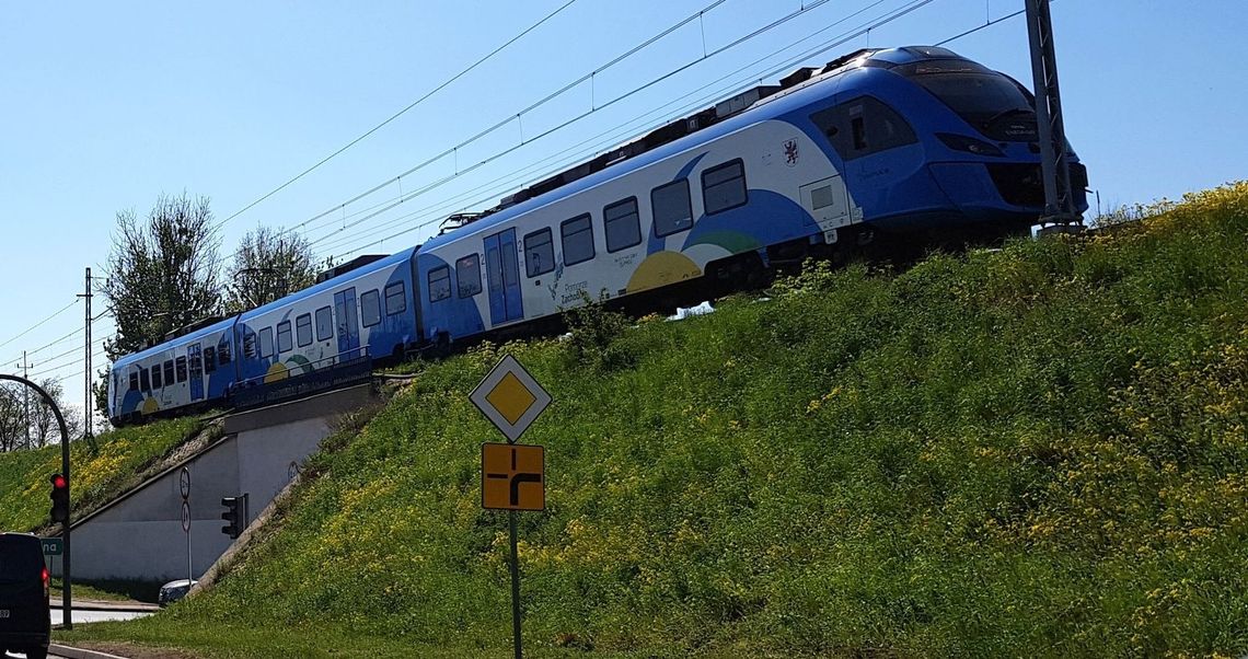 Skąd te żółte dywany wokół Gryfina Skąd te żółte dywany wokół Gryfina