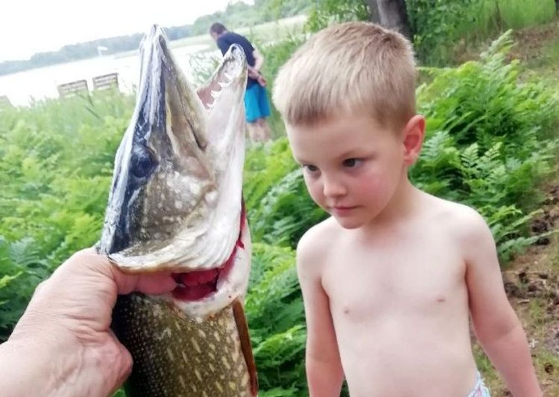 Skąd wyciągają takie szczupaki? Skąd wyciągają takie szczupaki?