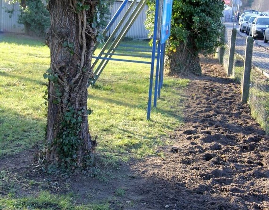 Służby sprawdzą, co działo się na cmentarzysku Służby sprawdzą, co działo się na cmentarzysku