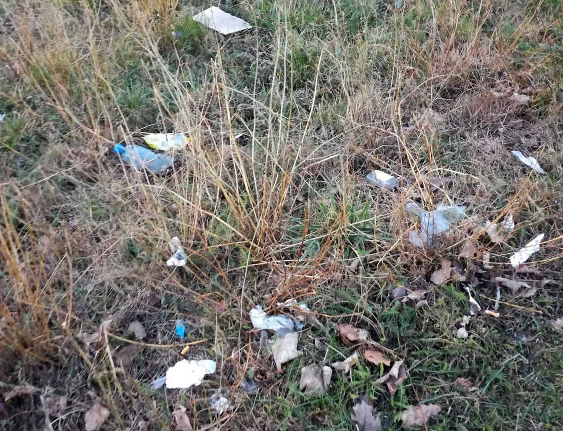 Śmieci i usunięcie koszy to nowy program oszczędnościowy gminy czy sposób na jej promocję? - pyta czytelnik Śmieci i usunięcie koszy to nowy program oszczędnościowy gminy czy sposób na jej promocję? - pyta czytelnik