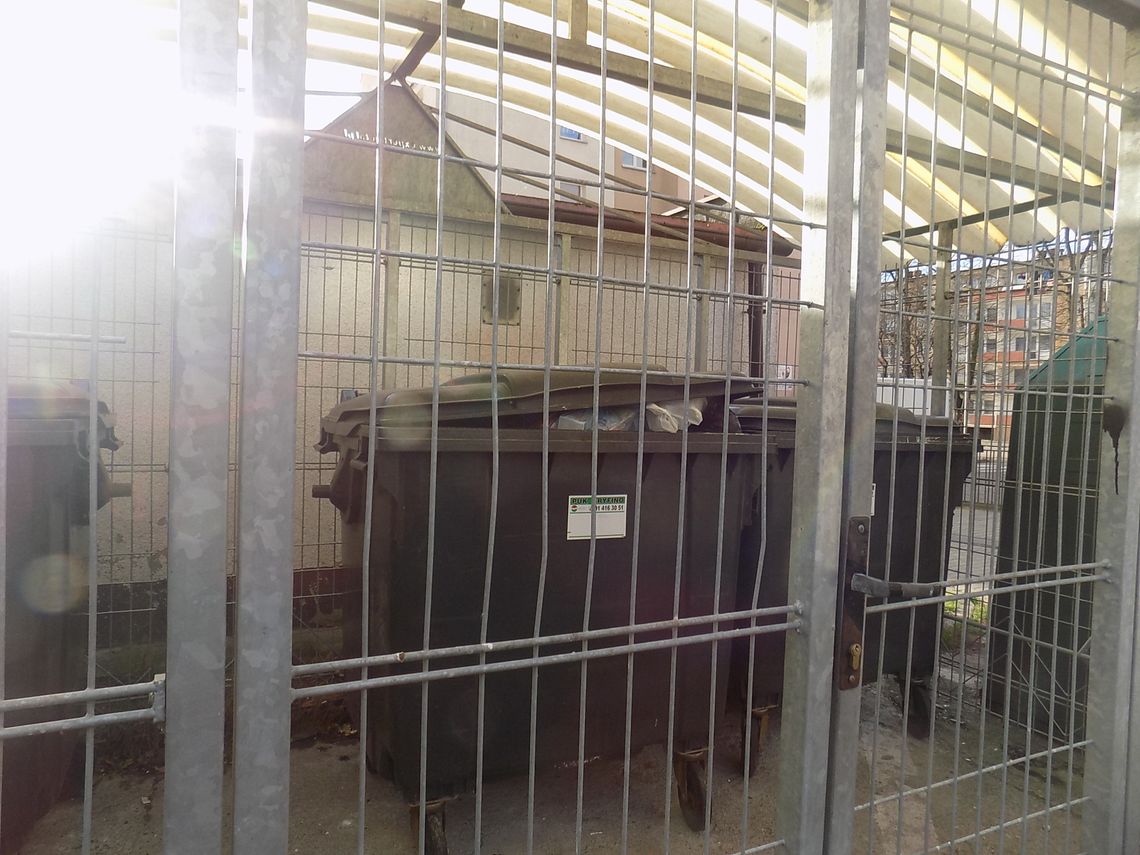 Śmieciowy problem jak kukułcze jajo Śmieciowy problem jak kukułcze jajo