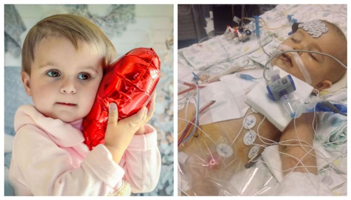 Śmierć w ramionach matki albo operacja warta fortunę. Oliwce kończy się czas! Śmierć w ramionach matki albo operacja warta fortunę. Oliwce kończy się czas!