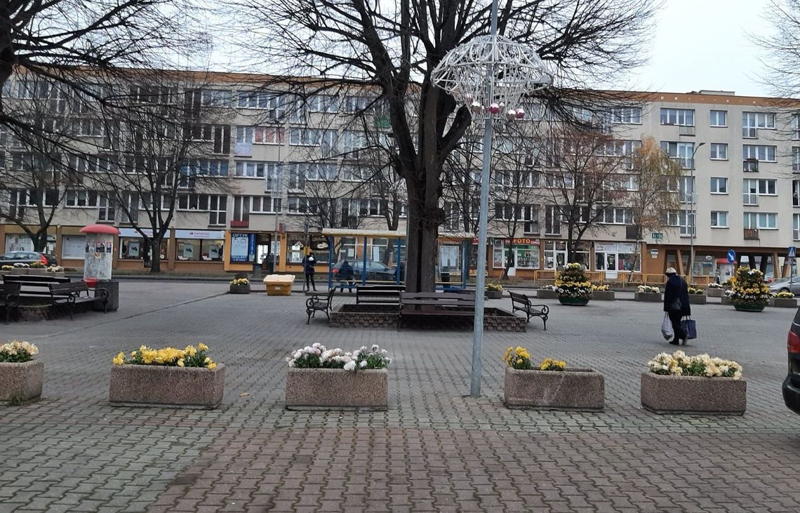 Spacer po zaniedbanym Gryfinie. Zapraszamy burmistrza - proponują czytelnicy Spacer po zaniedbanym Gryfinie. Zapraszamy burmistrza - proponują czytelnicy