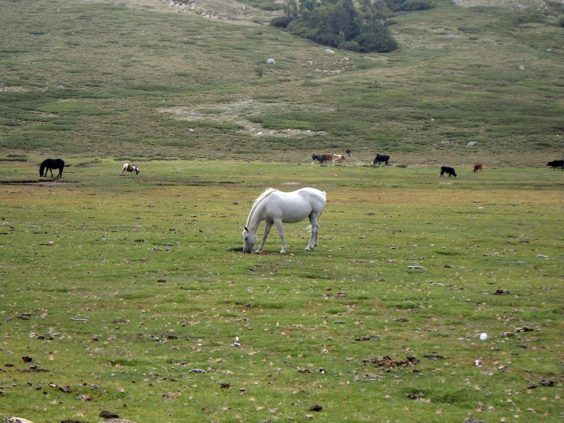Spacer w korsykańskich chmurach Spacer w korsykańskich chmurach