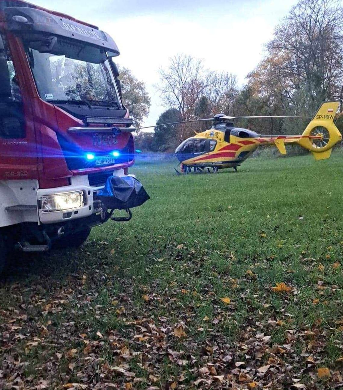 Spadł z drzewa podczas prac wycinkowych. Rannego przetransportowano do szpitala Spadł z drzewa podczas prac wycinkowych. Rannego przetransportowano do szpitala