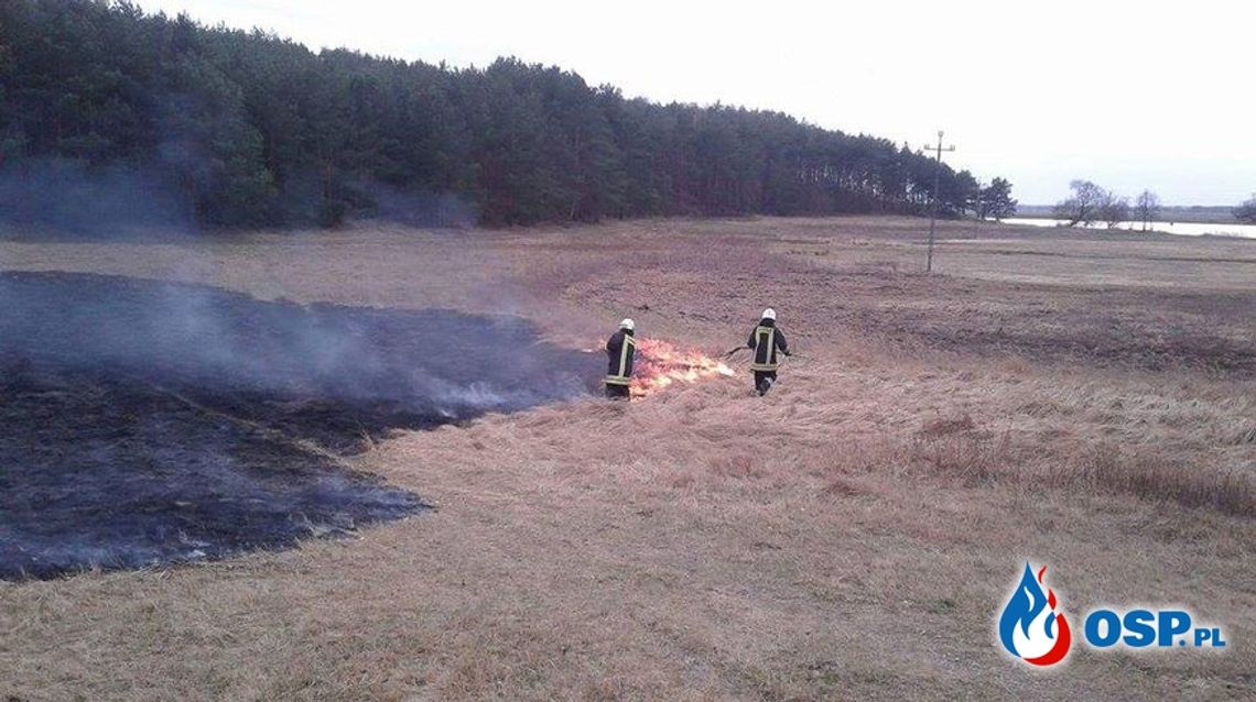  Spalił się prawie hektar nieużytków