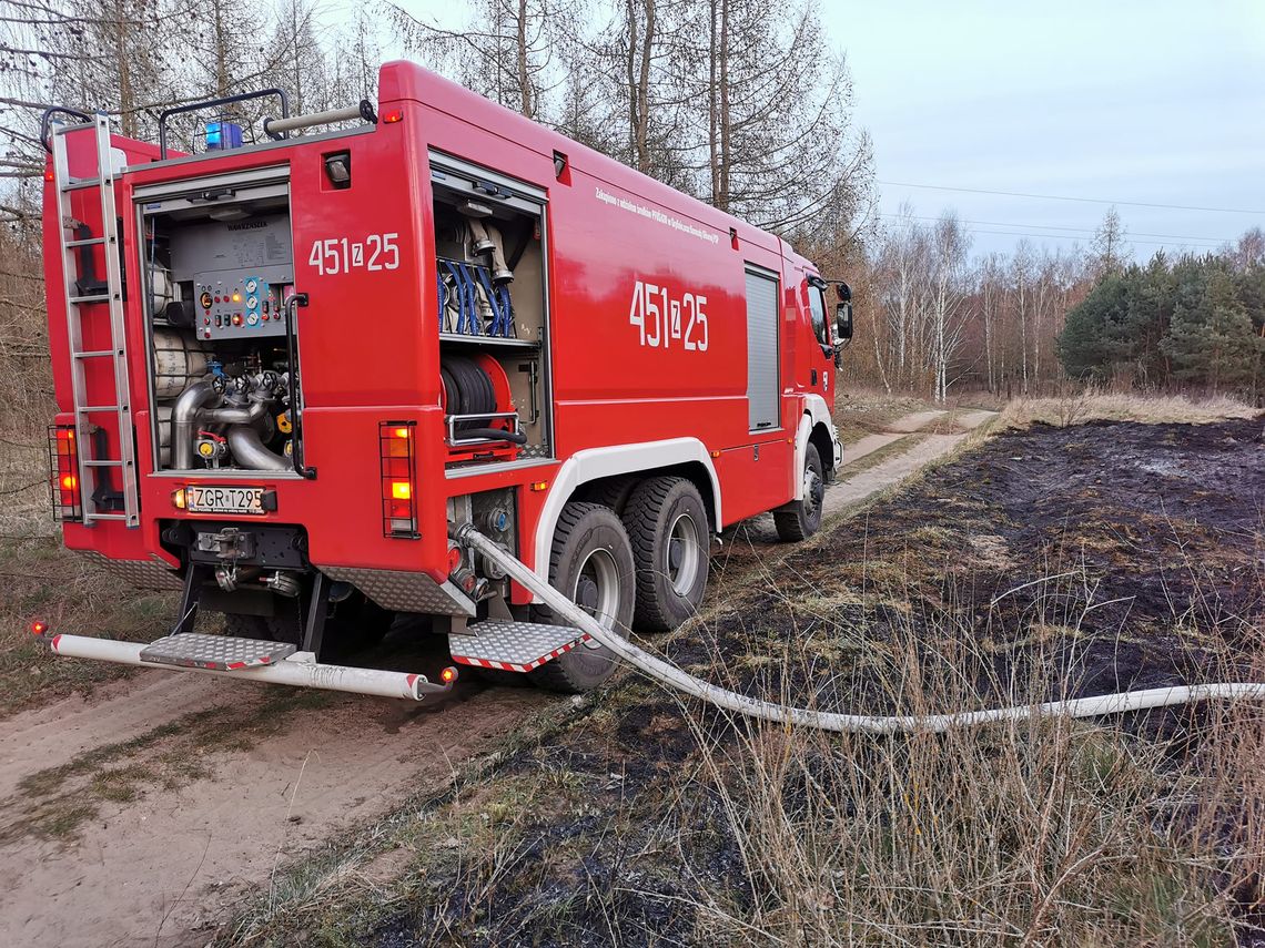 Spaliły się dwa hektary lasu oraz nieużytków [FOTO]