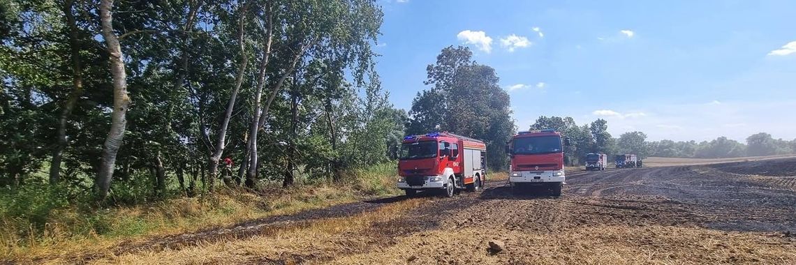 Spłonęły dwa hektary Spłonęły dwa hektary