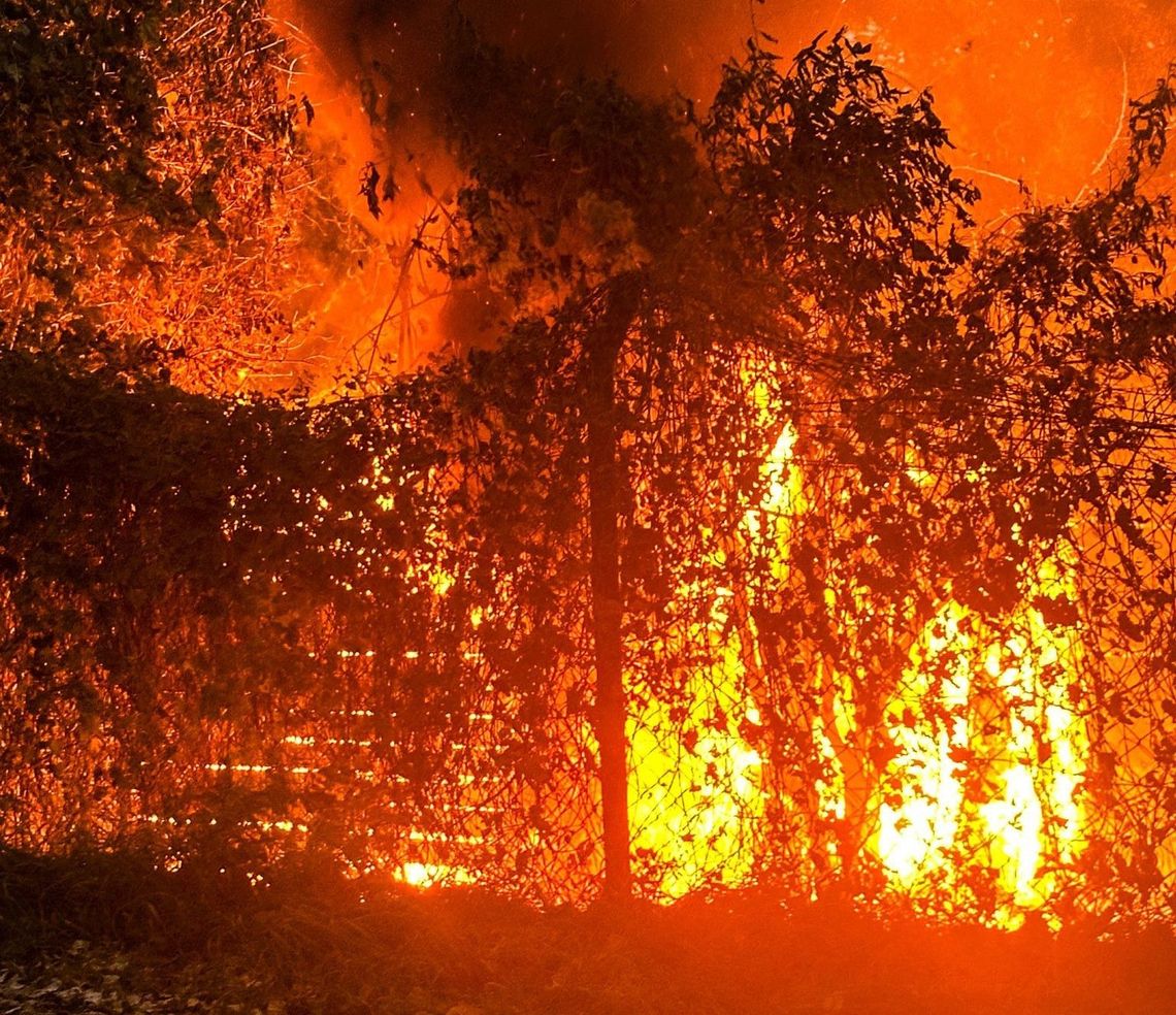 Spłonęły dwa obiekty nad jeziorem niemal jednocześnie. Policja prowadzi śledztwo Spłonęły dwa obiekty nad jeziorem niemal jednocześnie. Policja prowadzi śledztwo