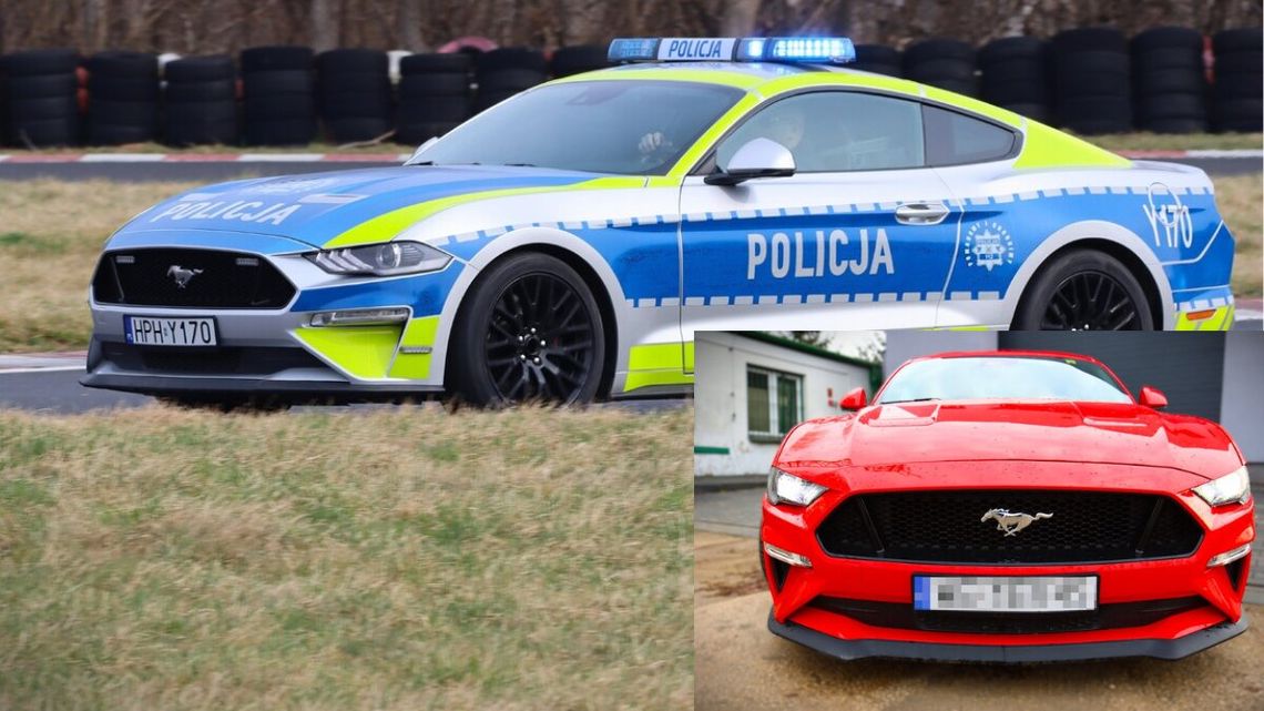 Pijany stracił, policja zyskała. Kultowy Mustang GT oficjalnie zasila szeregi drogówki