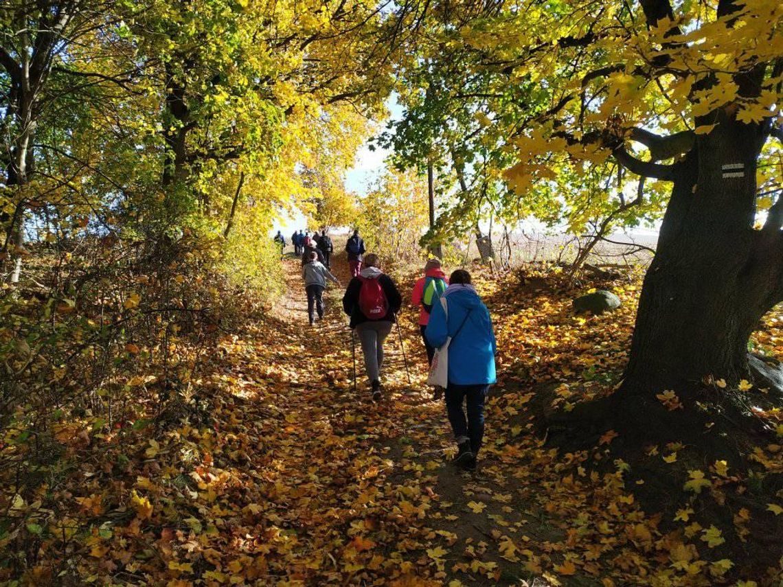 "Spotkajmy się na żółtym szlaku" - jesienne wędrowanie po gminie Gryfino