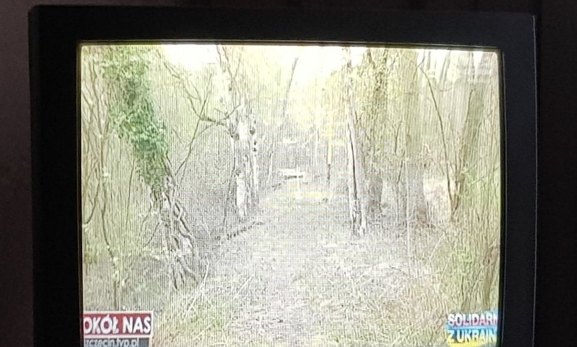 Sprawa zabójstwa wciąż budzi emocje