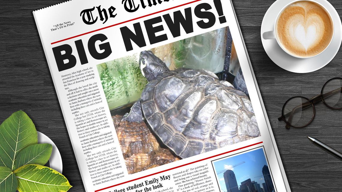 Sprawa żółwia Bibliusia Sprawa żółwia Bibliusia