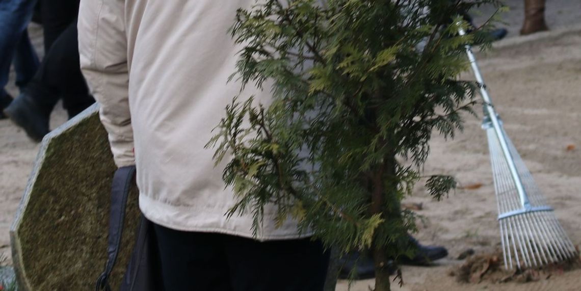 Stan cmentarza budzi zastrzeżenia czytelnika Stan cmentarza budzi zastrzeżenia czytelnika