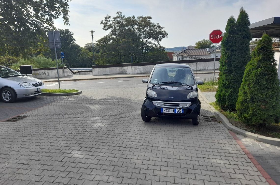 Starostwo monituje. Kiedy straż miejska zareaguje? Starostwo monituje. Kiedy straż miejska zareaguje?