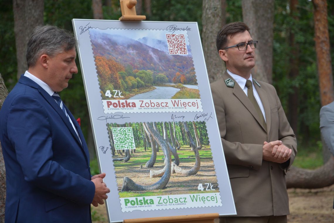 Starych drzew coraz mniej, ale znaczek jest [ZDJĘCIA]