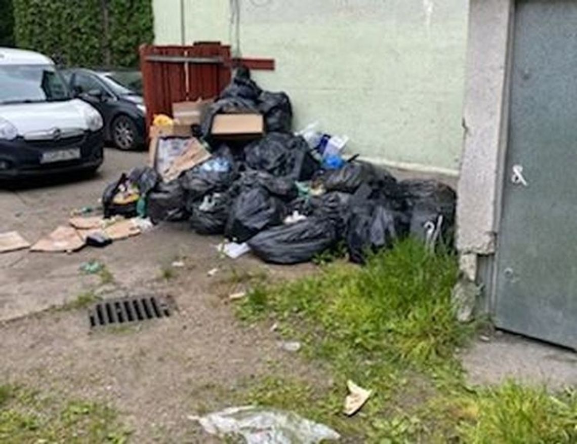 Sterta śmieci czeka na szczury? - pyta czytelnik