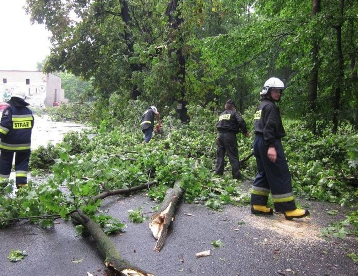 Straż pożarna czy drogowa?