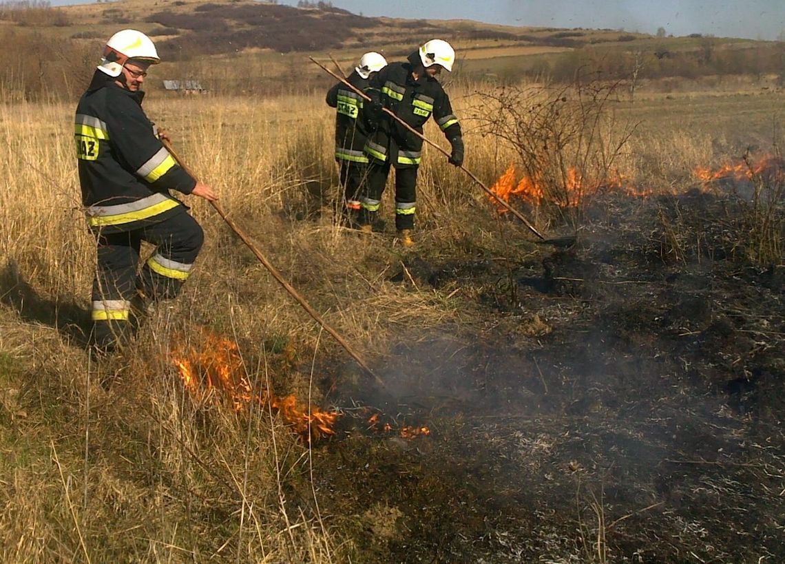 Strażacy biją rekordy akcji