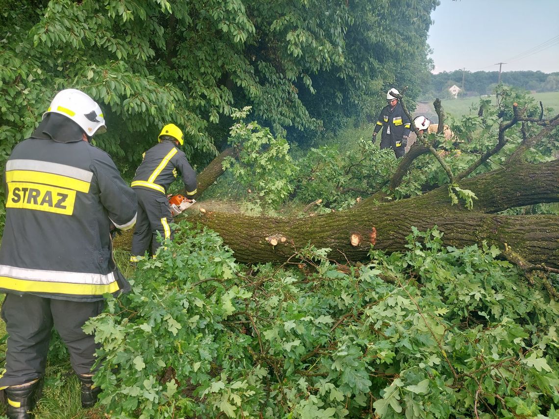 Strażacy mieli pełne ręce roboty, a rekord padł w niedzielę