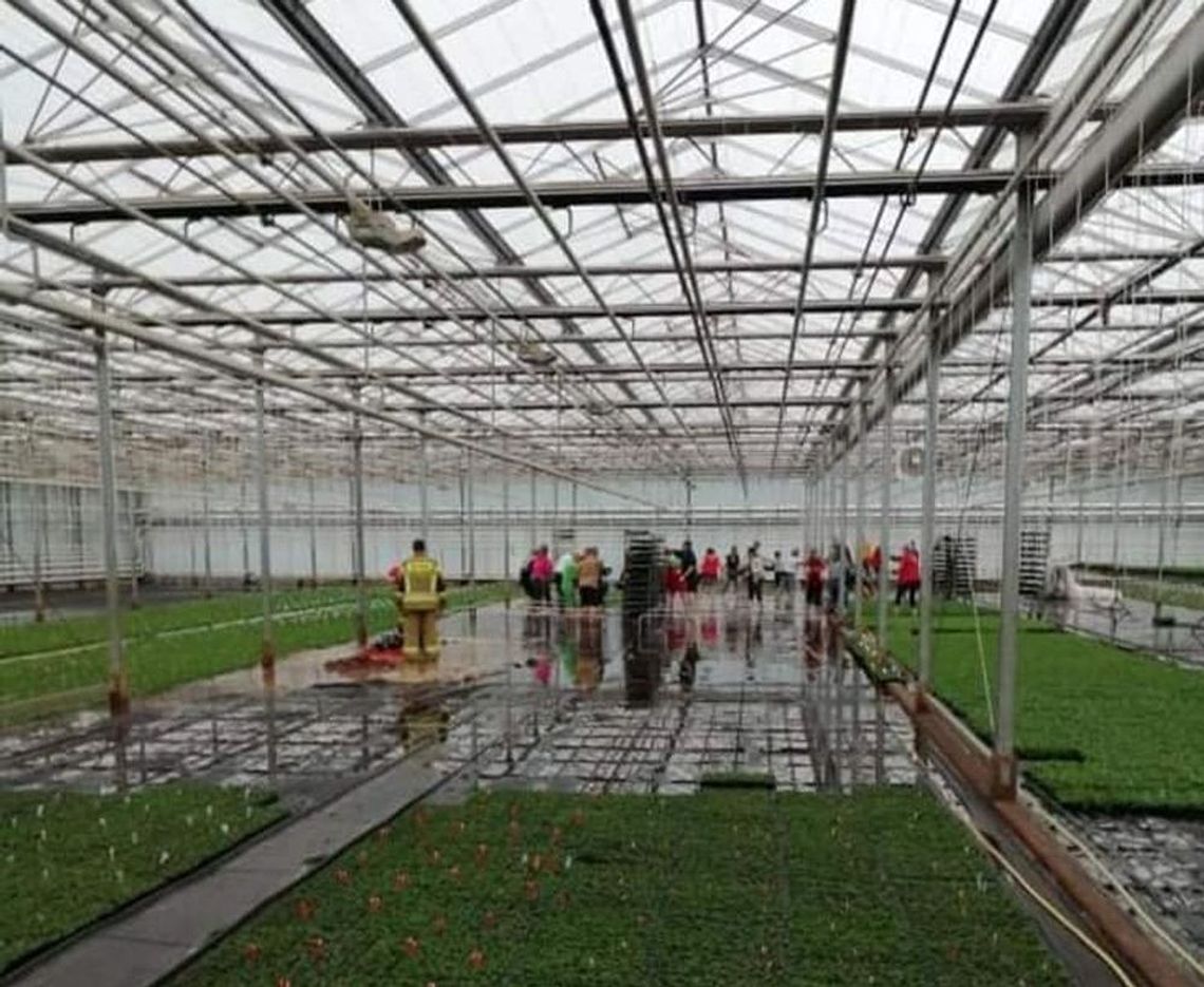 Strażacy ratują zalaną szklarnię Strażacy ratują zalaną szklarnię