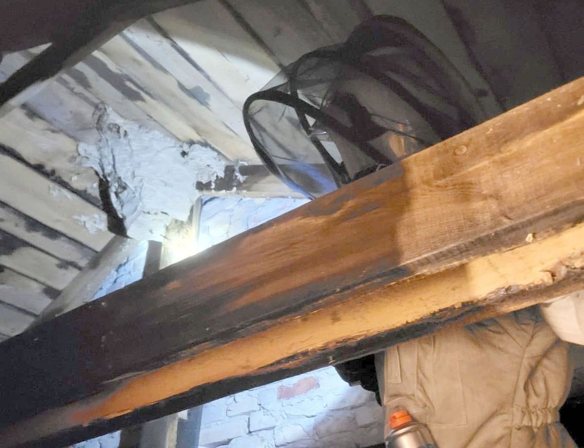 Strażacy usuwali w kościele gniazdo szerszeni i os Strażacy usuwali w kościele gniazdo szerszeni i os