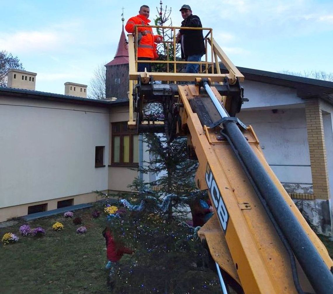 Stroili choinkę na mikołajkową imprezę Stroili choinkę na mikołajkową imprezę