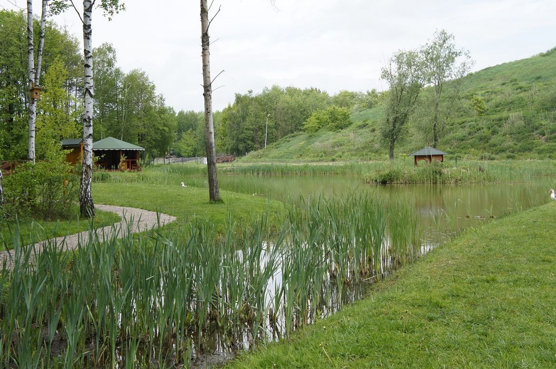 Susza narasta i stanowi coraz większy problem