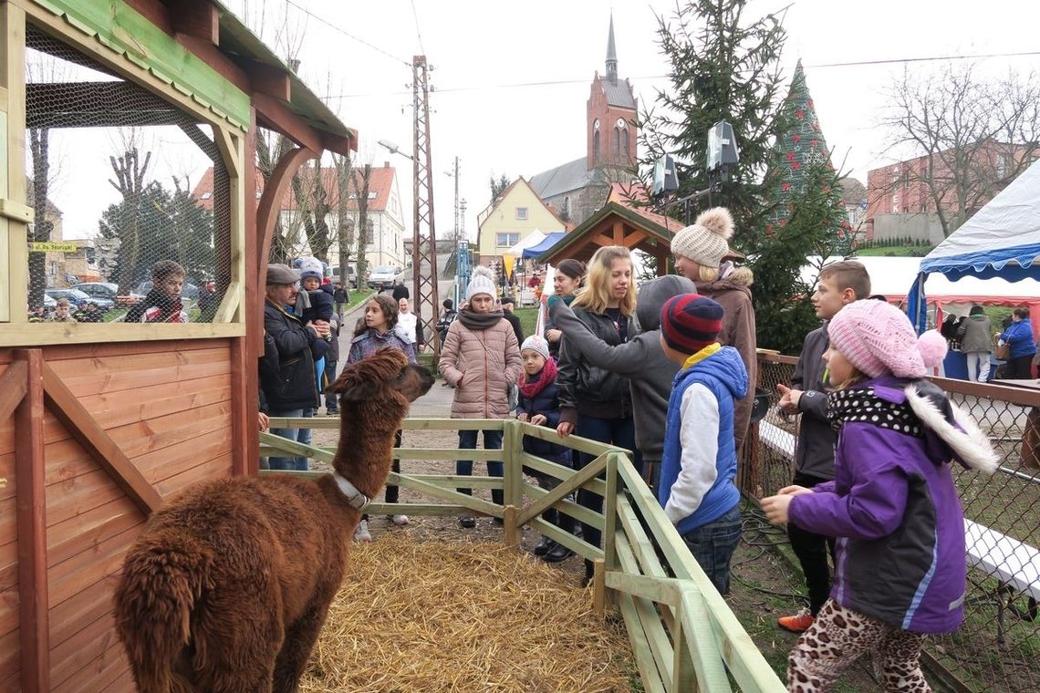 Świąteczne jarmarki w Mieszkowicach, Moryniu i Cedyni